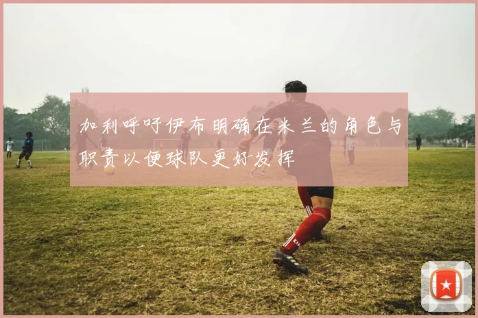 加利呼吁伊布明确在米兰的角色与职责以便球队更好发挥