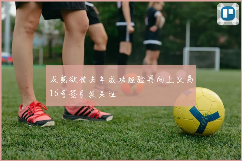 灰熊欲借去年成功经验再向上交易16号签引发关注